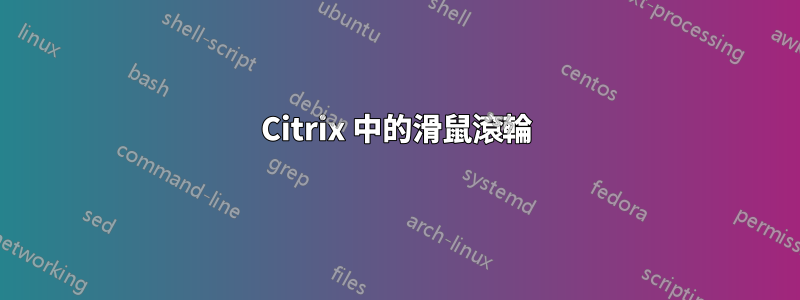 Citrix 中的滑鼠滾輪