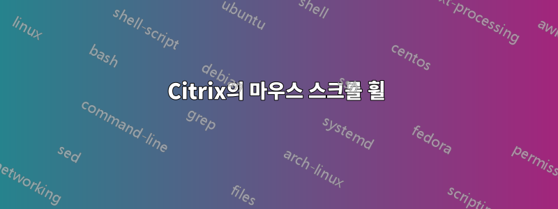 Citrix의 마우스 스크롤 휠