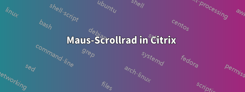 Maus-Scrollrad in Citrix