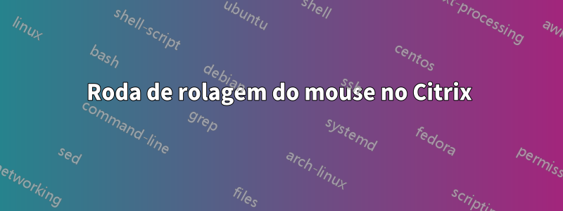 Roda de rolagem do mouse no Citrix