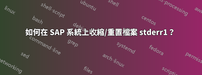 如何在 SAP 系統上收縮/重置檔案 stderr1？
