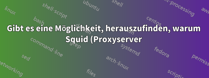 Gibt es eine Möglichkeit, herauszufinden, warum Squid (Proxyserver) feststellt, warum eine Ressource ein MISS sein sollte?
