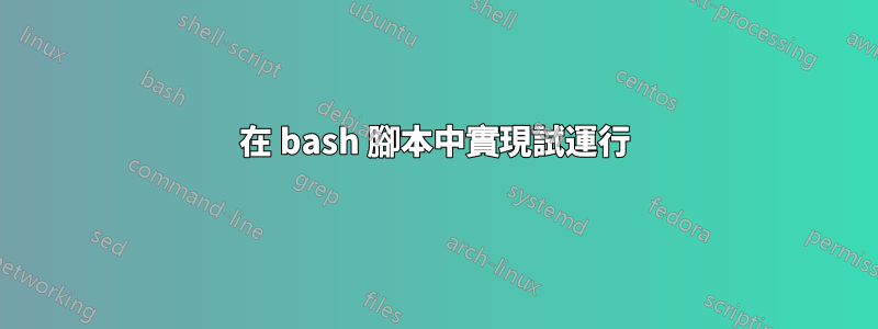 在 bash 腳本中實現試運行