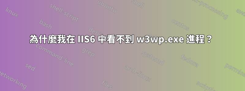 為什麼我在 IIS6 中看不到 w3wp.exe 進程？