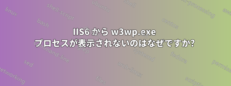 IIS6 から w3wp.exe プロセスが表示されないのはなぜですか?