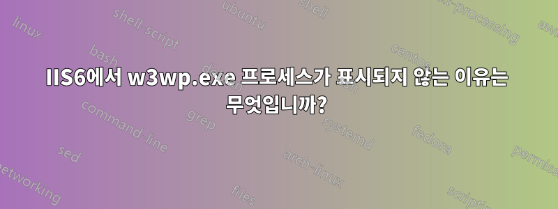 IIS6에서 w3wp.exe 프로세스가 표시되지 않는 이유는 무엇입니까?