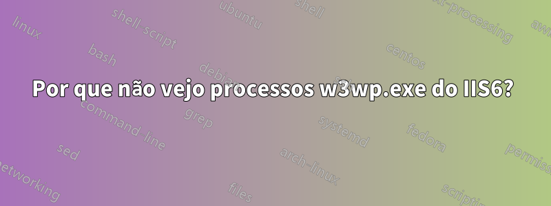 Por que não vejo processos w3wp.exe do IIS6?