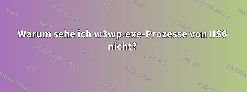 Warum sehe ich w3wp.exe-Prozesse von IIS6 nicht?