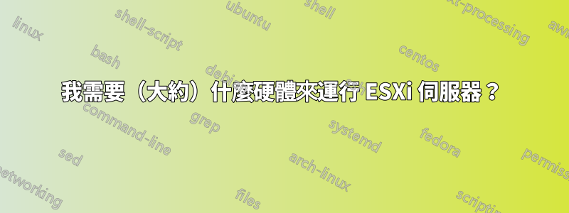 我需要（大約）什麼硬體來運行 ESXi 伺服器？