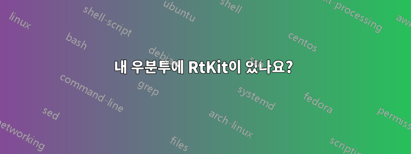 내 우분투에 RtKit이 있나요?