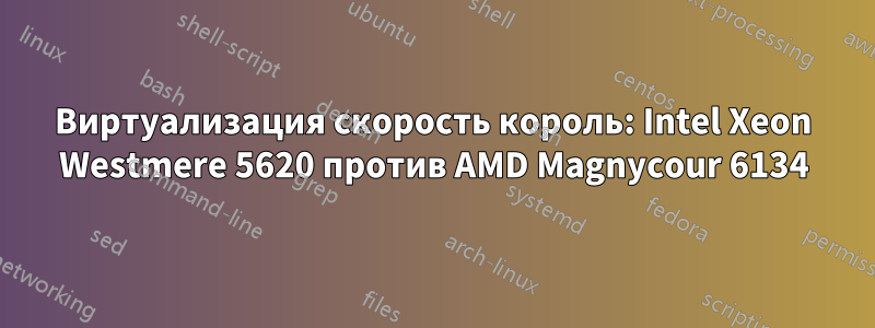 Виртуализация скорость король: Intel Xeon Westmere 5620 против AMD Magnycour 6134