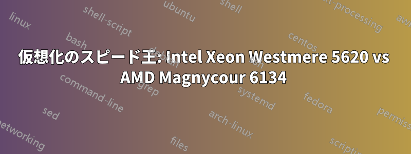 仮想化のスピード王: Intel Xeon Westmere 5620 vs AMD Magnycour 6134