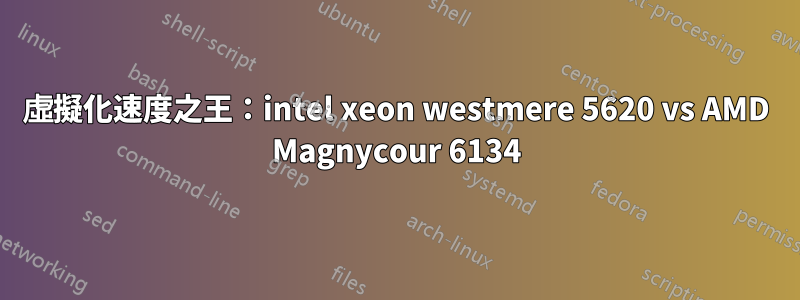 虛擬化速度之王：intel xeon westmere 5620 vs AMD Magnycour 6134