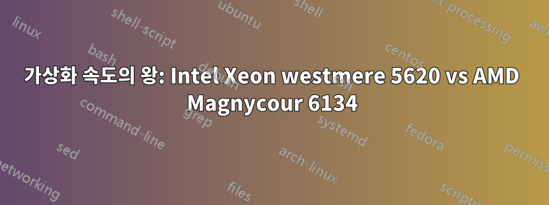 가상화 속도의 왕: Intel Xeon westmere 5620 vs AMD Magnycour 6134