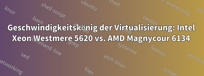 Geschwindigkeitskönig der Virtualisierung: Intel Xeon Westmere 5620 vs. AMD Magnycour 6134