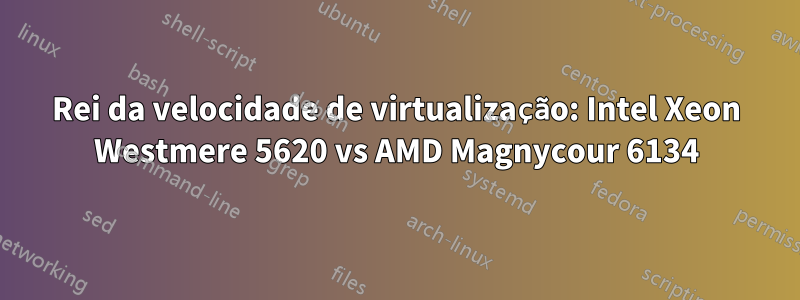 Rei da velocidade de virtualização: Intel Xeon Westmere 5620 vs AMD Magnycour 6134