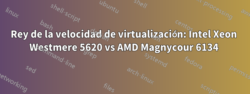 Rey de la velocidad de virtualización: Intel Xeon Westmere 5620 vs AMD Magnycour 6134