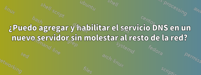 ¿Puedo agregar y habilitar el servicio DNS en un nuevo servidor sin molestar al resto de la red?