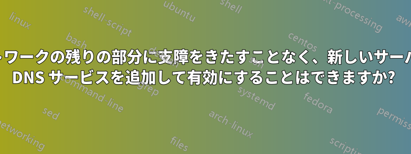 ネットワークの残りの部分に支障をきたすことなく、新しいサーバーに DNS サービスを追加して有効にすることはできますか?