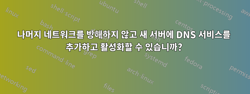 나머지 네트워크를 방해하지 않고 새 서버에 DNS 서비스를 추가하고 활성화할 수 있습니까?