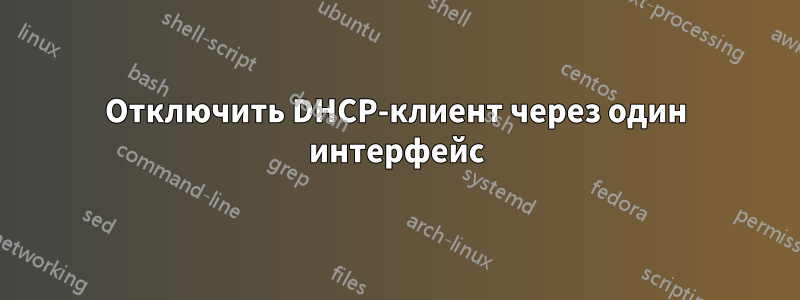 Отключить DHCP-клиент через один интерфейс