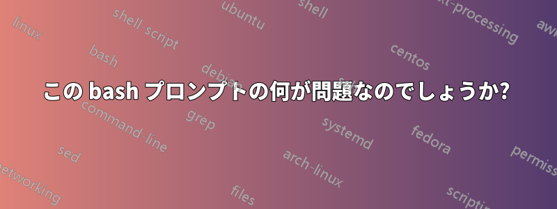 この bash プロンプトの何が問題なのでしょうか?