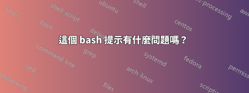 這個 bash 提示有什麼問題嗎？