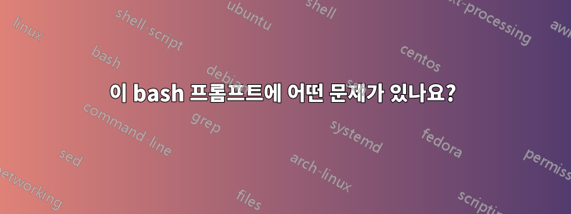 이 bash 프롬프트에 어떤 문제가 있나요?