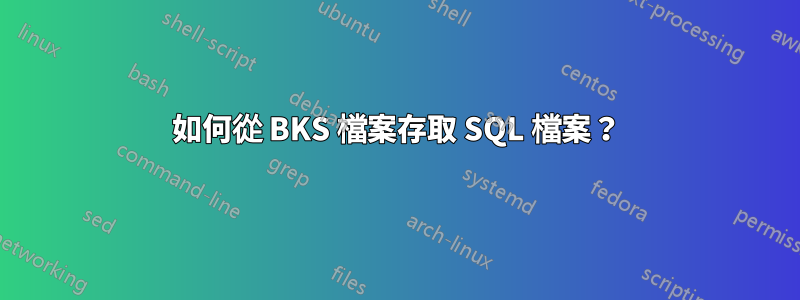 如何從 BKS 檔案存取 SQL 檔案？