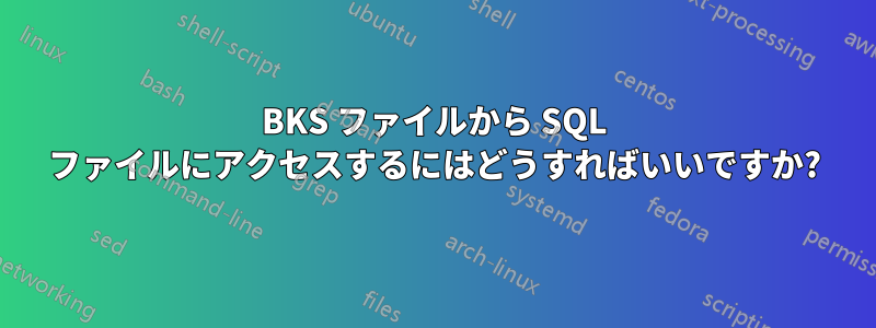 BKS ファイルから SQL ファイルにアクセスするにはどうすればいいですか?