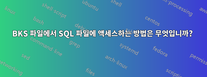 BKS 파일에서 SQL 파일에 액세스하는 방법은 무엇입니까?