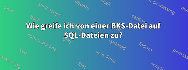 Wie greife ich von einer BKS-Datei auf SQL-Dateien zu?