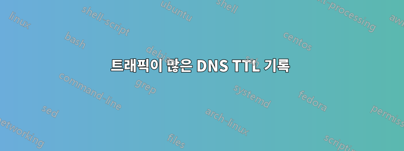 트래픽이 많은 DNS TTL 기록