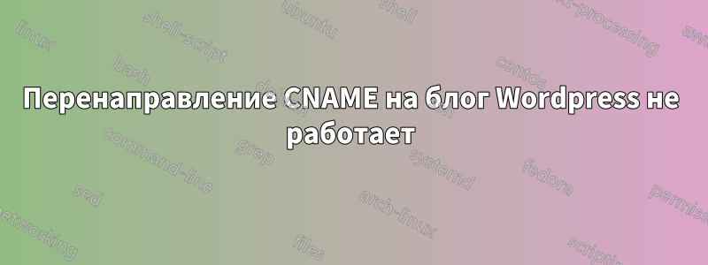 Перенаправление CNAME на блог Wordpress не работает