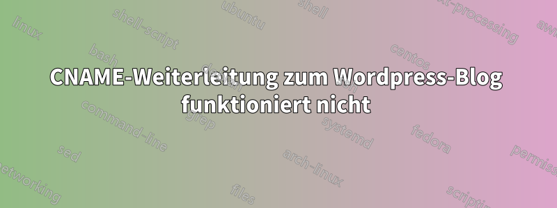 CNAME-Weiterleitung zum Wordpress-Blog funktioniert nicht