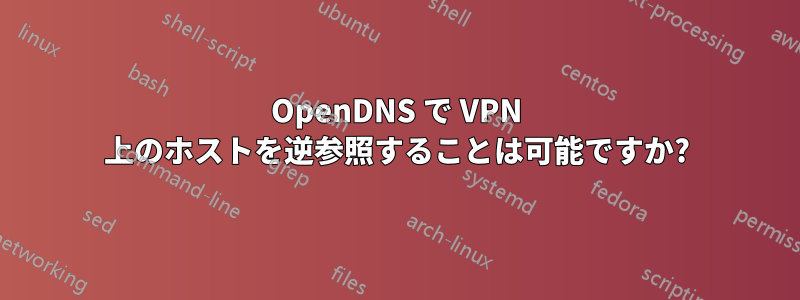 OpenDNS で VPN 上のホストを逆参照することは可能ですか?