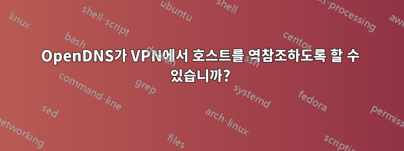 OpenDNS가 VPN에서 호스트를 역참조하도록 할 수 있습니까?