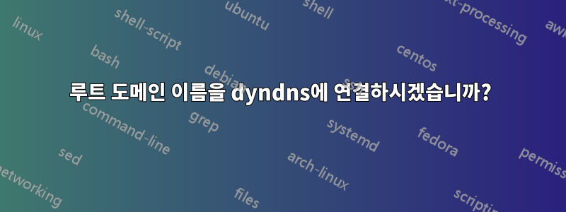 루트 도메인 이름을 dyndns에 연결하시겠습니까?