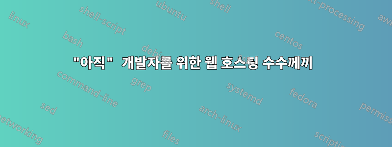 "아직" 개발자를 위한 웹 호스팅 수수께끼 