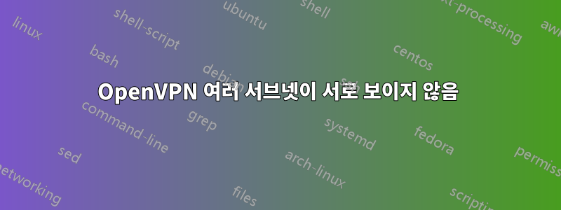 OpenVPN 여러 서브넷이 서로 보이지 않음