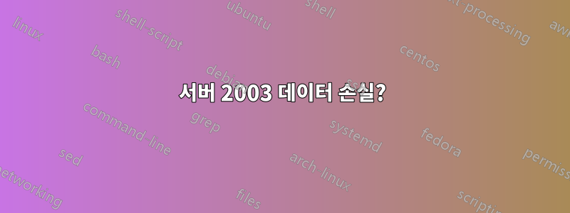 서버 2003 데이터 손실?