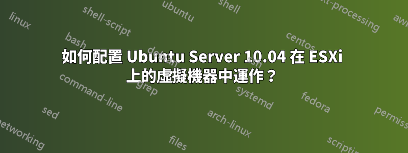 如何配置 Ubuntu Server 10.04 在 ESXi 上的虛擬機器中運作？