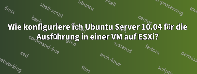 Wie konfiguriere ich Ubuntu Server 10.04 für die Ausführung in einer VM auf ESXi?