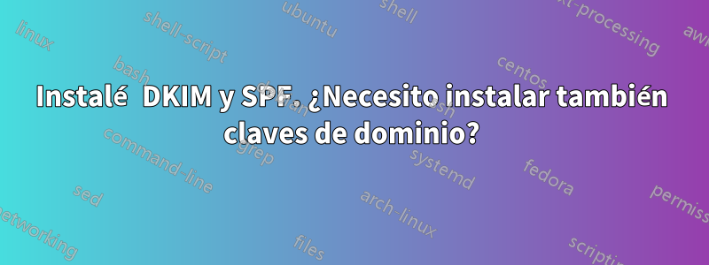 Instalé DKIM y SPF. ¿Necesito instalar también claves de dominio?