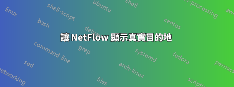 讓 NetFlow 顯示真實目的地