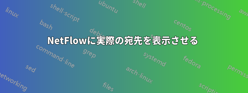 NetFlowに実際の宛先を表示させる