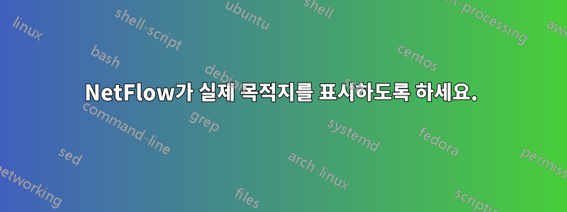 NetFlow가 실제 목적지를 표시하도록 하세요.