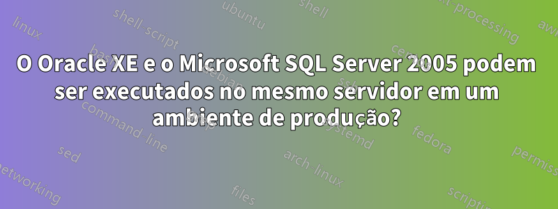 O Oracle XE e o Microsoft SQL Server 2005 podem ser executados no mesmo servidor em um ambiente de produção?