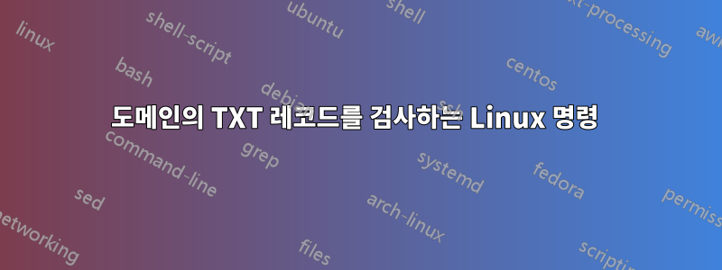 도메인의 TXT 레코드를 검사하는 Linux 명령 