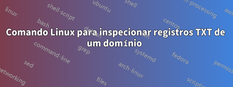 Comando Linux para inspecionar registros TXT de um domínio 